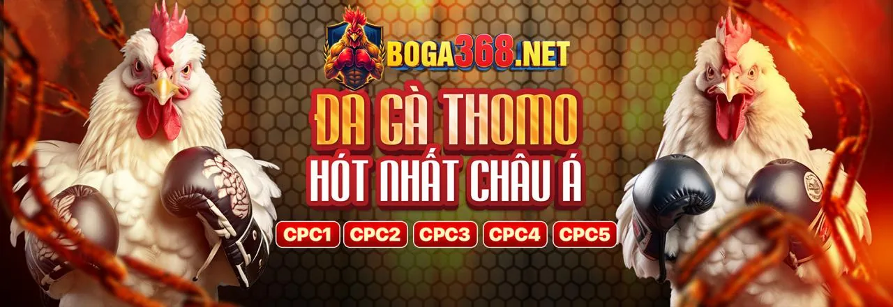 Đá gà trực tuyến SC88 với các trận đấu sôi động